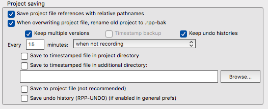 Project Versioning