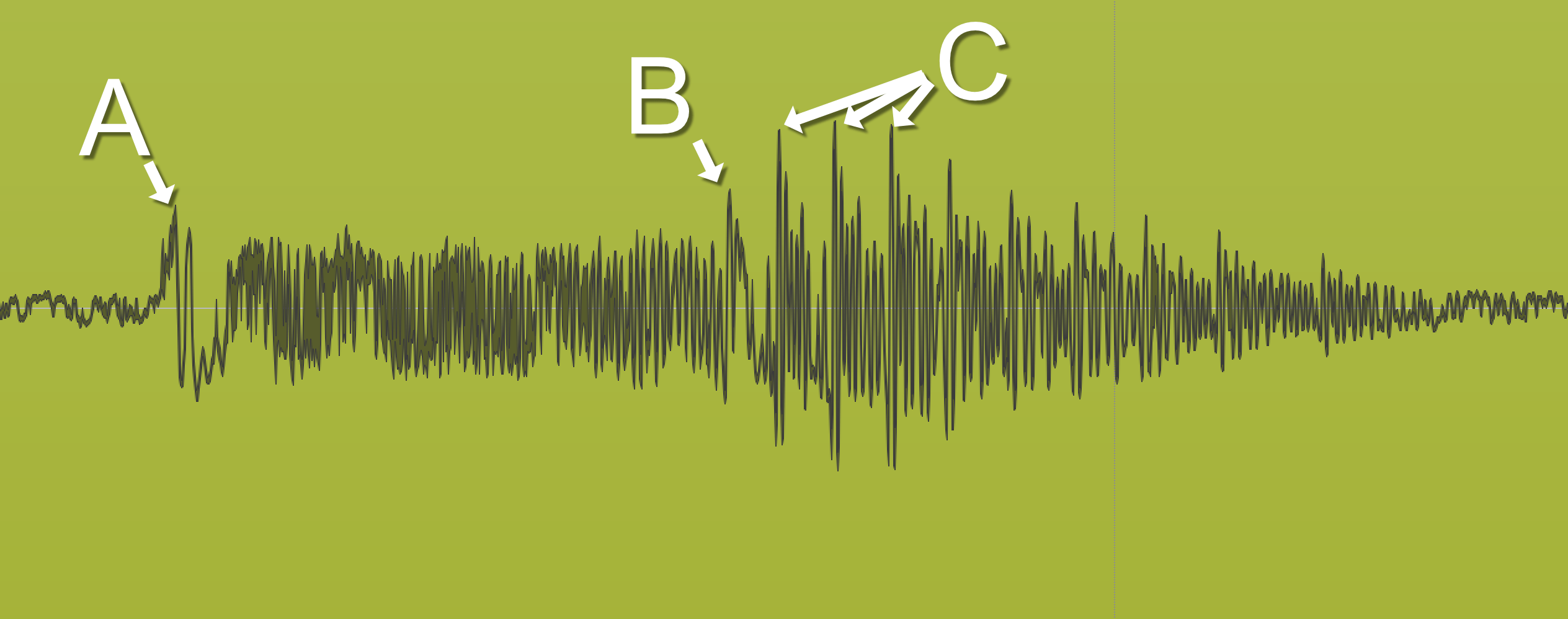 What is a transient?