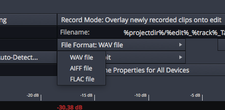 Flac format